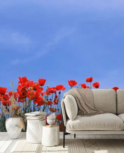 red poppies in a field wallpaper red poppies in a field wallpaper