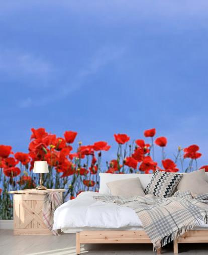 Descargar el fondo de pantalla Red Poppies in a field Descargar el fondo de pantalla Red Poppies in a field