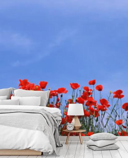 rote Mohnblumen in einem Feld Tapete