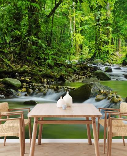 green stream wallpaper mural called Beautiful Mountain Stream at Wallsauce for bedrooms, bathrooms and offices green stream wallpaper mural called Beautiful Mountain Stream at Wallsauce for bedrooms, bathrooms and offices