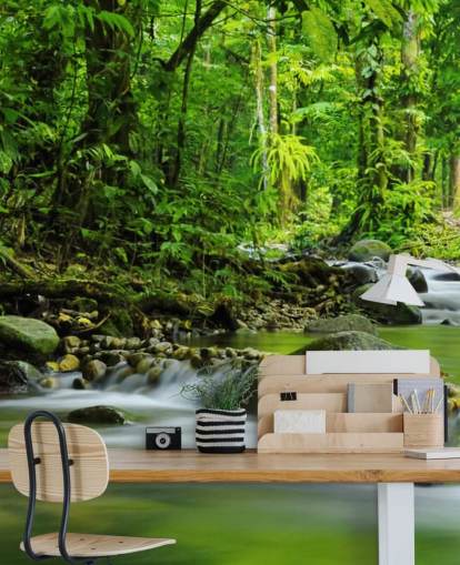 Wandbild mit grünem Bachlauf mit dem Titel Beautiful Mountain Stream at Wallsauce für Schlafzimmer, Badezimmer und Büros