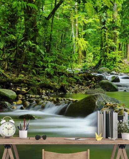 Wandbild mit grünem Bachlauf mit dem Titel Beautiful Mountain Stream at Wallsauce für Schlafzimmer, Badezimmer und Büros