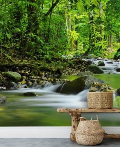 green stream wallpaper mural called Beautiful Mountain Stream at Wallsauce for bedrooms, bathrooms and offices