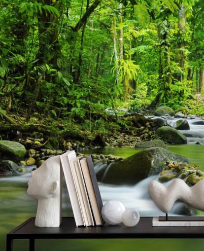 groene beek behangmuurschildering genaamd Beautiful Mountain Stream at Wallsauce voor slaapkamers, badkamers en kantoren