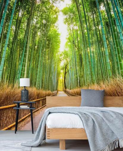 Floresta de bambu de Kyoto, Japão