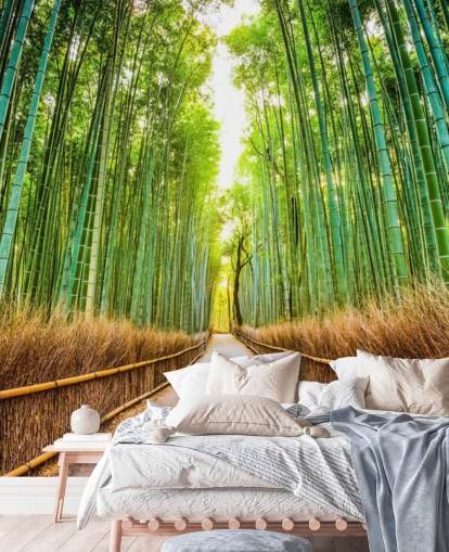 Forêt de bambous de Kyoto, Japon