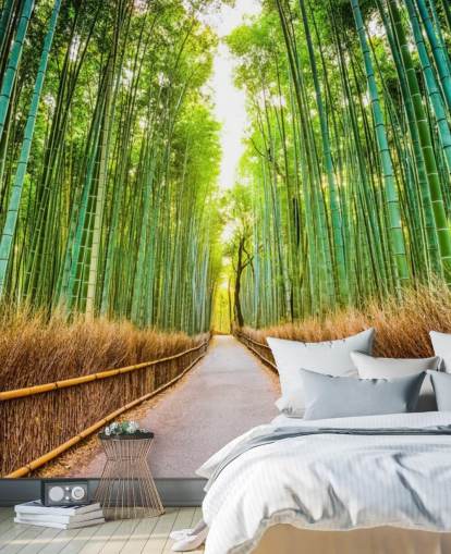 Bamboo Forest of Kyoto, Japan