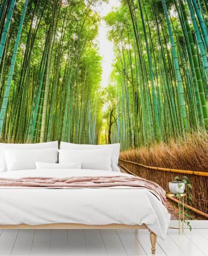 Bamboo Forest of Kyoto, Japan