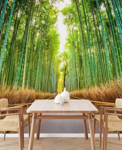 Bamboo Forest of Kyoto, Japan