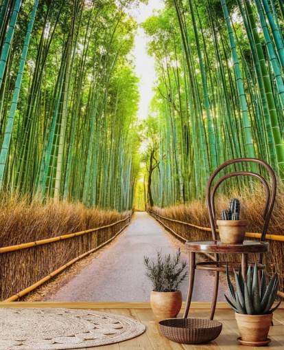 Bamboo Forest of Kyoto, Japan