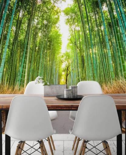 Forêt de bambous de Kyoto, Japon Forêt de bambous de Kyoto, Japon