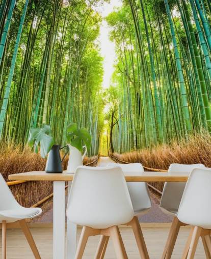 Bamboo Forest of Kyoto, Japan