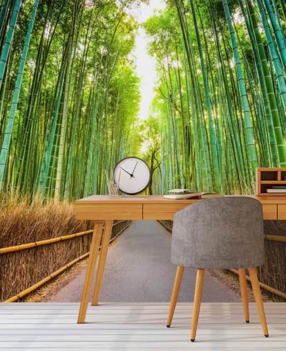 Floresta de bambu de Kyoto, Japão