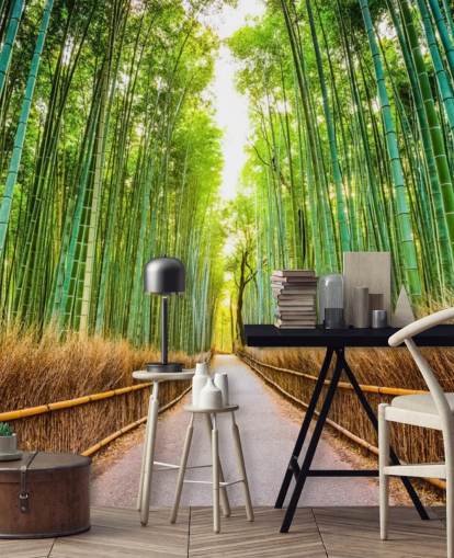 Forêt de bambous de Kyoto, Japon