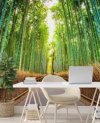 Floresta de bambu de Kyoto, Japão