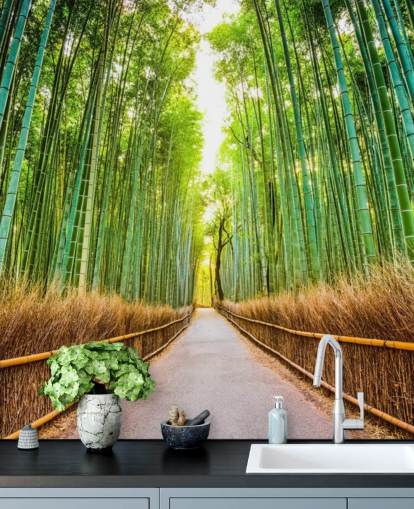 Bamboo Forest of Kyoto, Japan Bamboo Forest of Kyoto, Japan