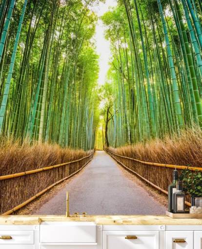 Forêt de bambous de Kyoto, Japon Forêt de bambous de Kyoto, Japon