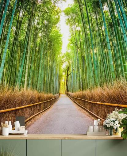Bamboo Forest of Kyoto, Japan Bamboo Forest of Kyoto, Japan