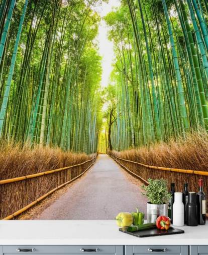 Bosque de bambú de Kioto, Japón