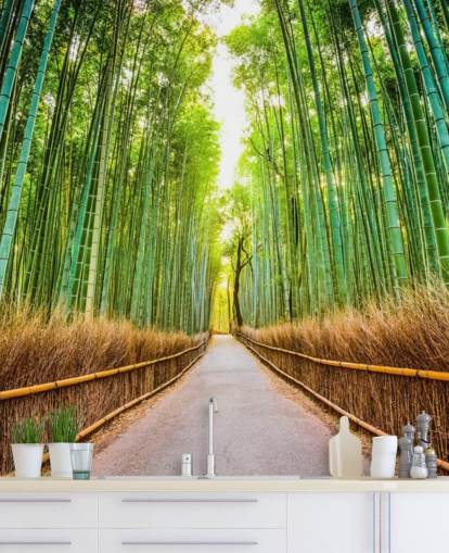 Kioton bambumetsä, Japani Kioton bambumetsä, Japani