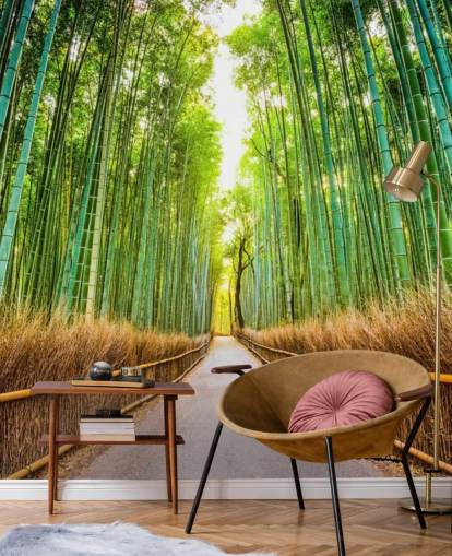 Forêt de bambous de Kyoto, Japon Forêt de bambous de Kyoto, Japon