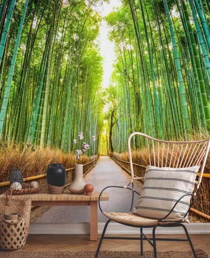 Foresta di bambù di Kyoto, Giappone