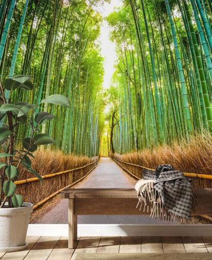 Bamboo Forest of Kyoto, Japan