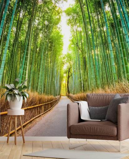 Bosque de bambú de Kioto, Japón