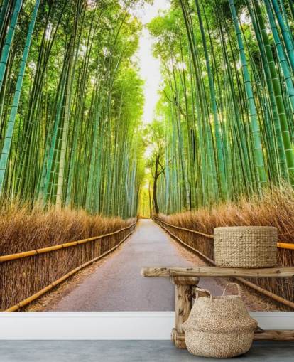 Forêt de bambous de Kyoto, Japon