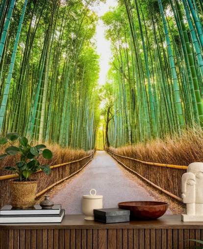 Bambuswald von Kyoto, Japan