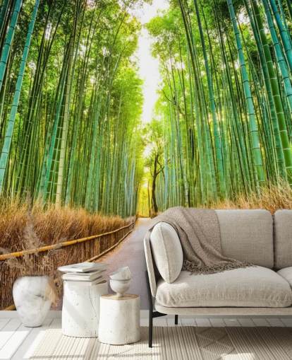 Bamboo Forest of Kyoto, Japan