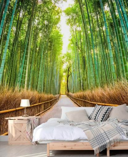 Bamboo Forest of Kyoto, Japan