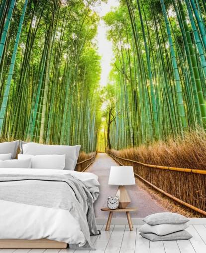 Bamboo Forest of Kyoto, Japan