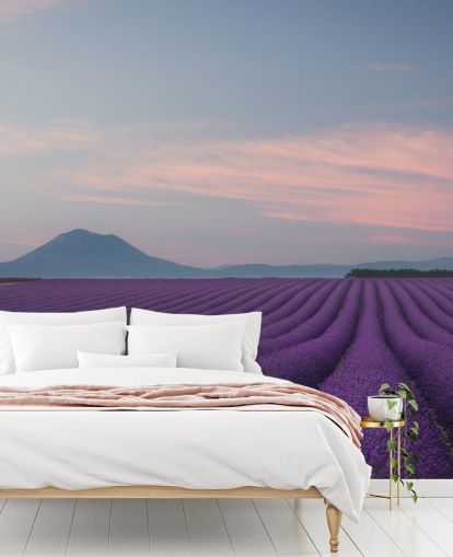 purple customisable lavender wallpaper mural called Rows of Lavender purple customisable lavender wallpaper mural called Rows of Lavender