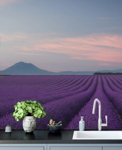 mural morado personalizable de color lavanda llamado Rows of Lavender mural morado personalizable de color lavanda llamado Rows of Lavender