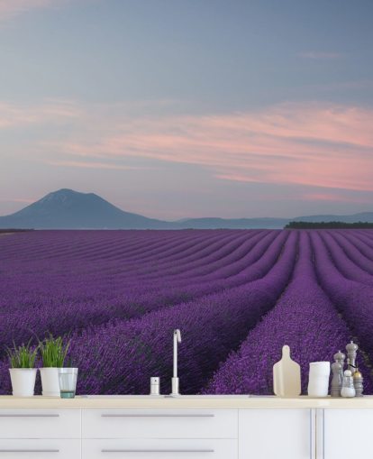 lila anpassningsbar lavendel tapetväggmålning som heter Rows of Lavender lila anpassningsbar lavendel tapetväggmålning som heter Rows of Lavender