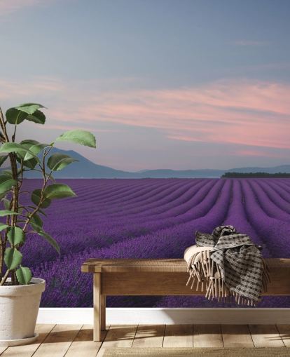 purple customizable lavender wallpaper mural called Rows of Lavender