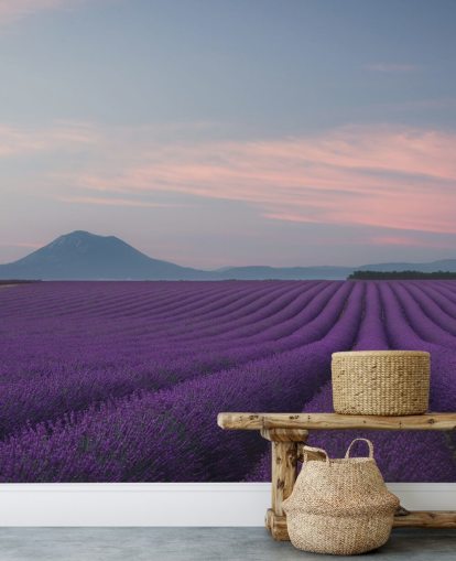 purple customisable lavender wallpaper mural called Rows of Lavender