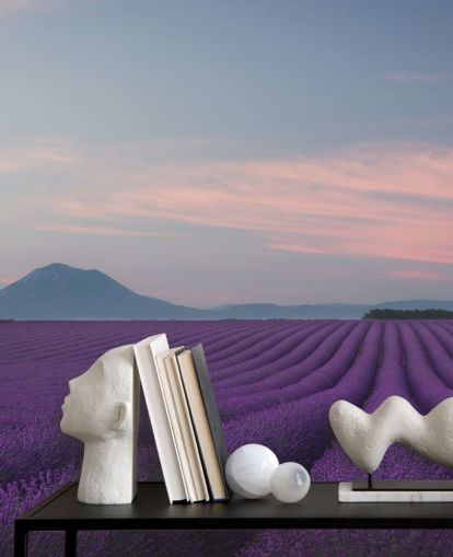 lila, individuell gestaltbares Lavendel-Tapeten-Wandbild namens Rows of Lavender