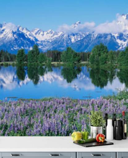 parque nacional de wyoming con montañas azules y cielo con fondo de pantalla de flores moradas