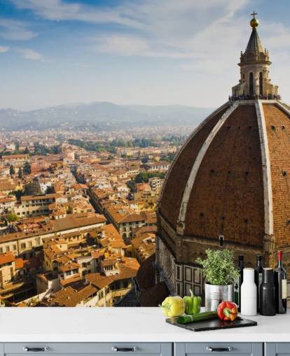 birds eye view of florence wallpaper