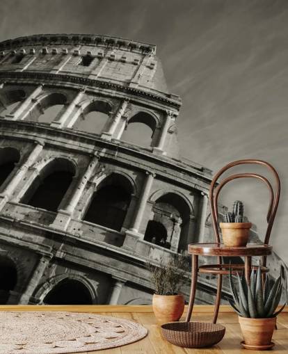 Zwart-witte Colosseum muurschildering