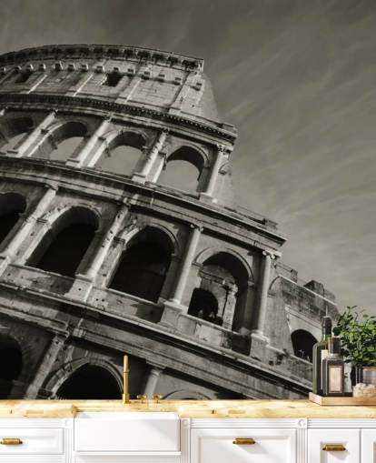 Black and White Colosseum Wall Mural