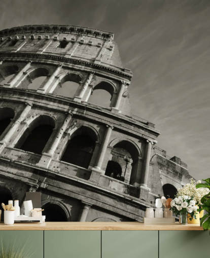 Black and White Colosseum Wall Mural