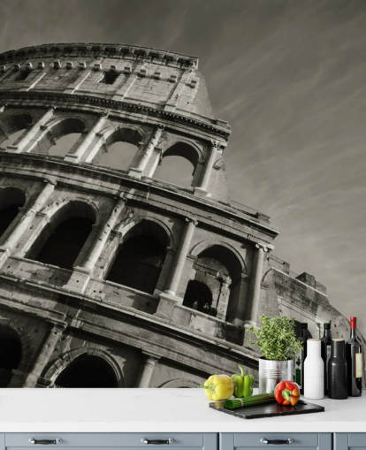 Black and White Colosseum Wall Mural