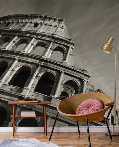 Black and White Colosseum Wall Mural