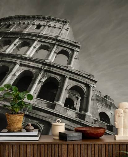 Black and White Colosseum Wall Mural Black and White Colosseum Wall Mural