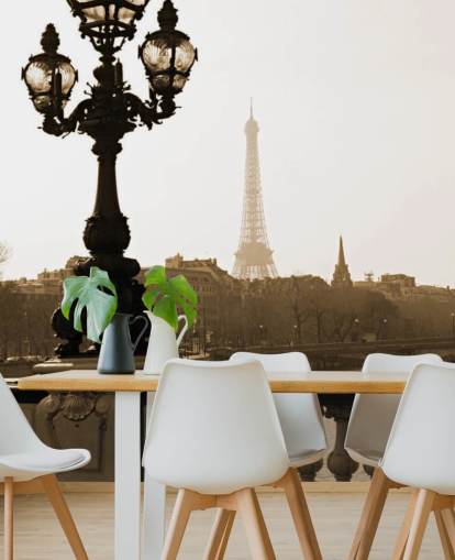 Descargar el fondo de pantalla Bridge of Alexandre III, Paris