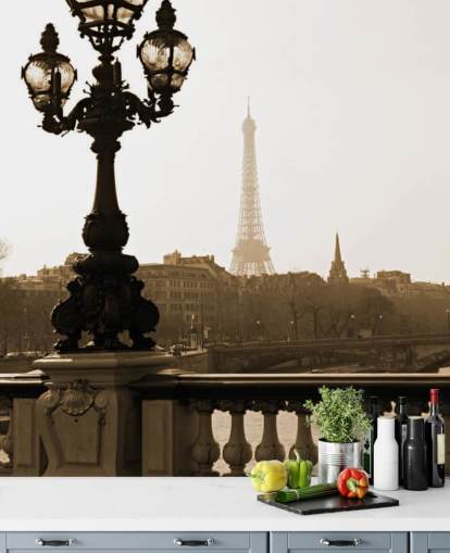 Descargar el fondo de pantalla Bridge of Alexandre III, Paris