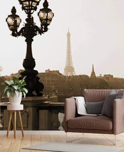 Bro af Alexandre III, Paris tapet